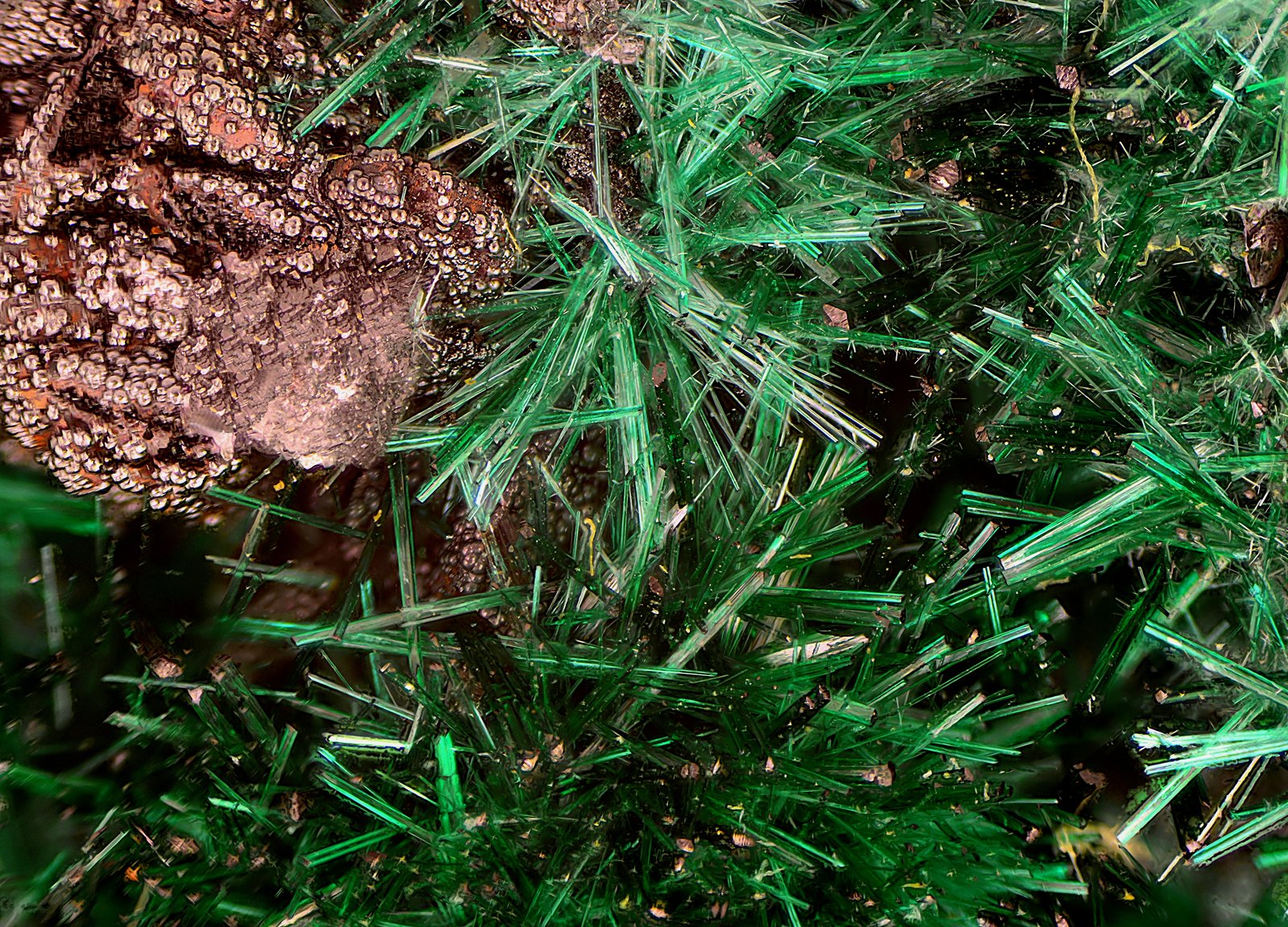 Brochantita
Campo de visión de 7 mm.
(Autor: Antonio Carmona)