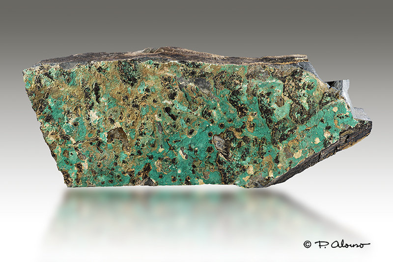 Brochantita
23,5cm x 9cm x 3cm
(Autor: Pere Alonso)