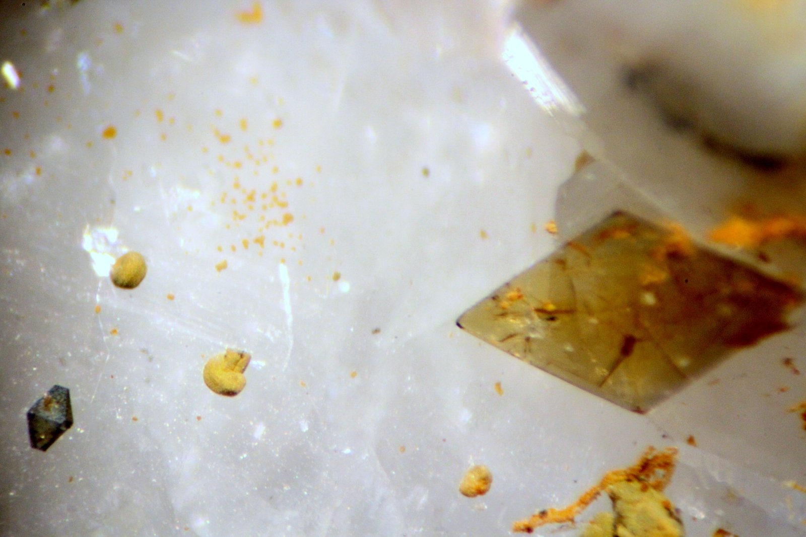 Brookita y anatasa
38 x 22 x 12 mm. Cristales de menos de 1 mm.
(Autor: José Luis Zamora)