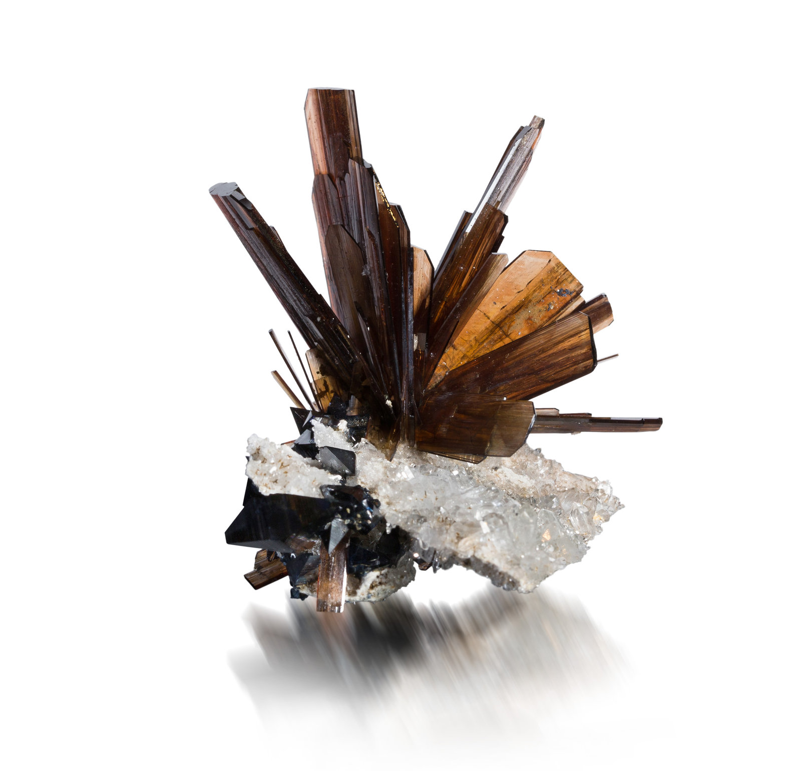 Brookita con Anatasa y Cuarzo
5.5 x 5.5 x 5 cm / cristal principal: 3.9 cm
(Autor: Museo MIM)