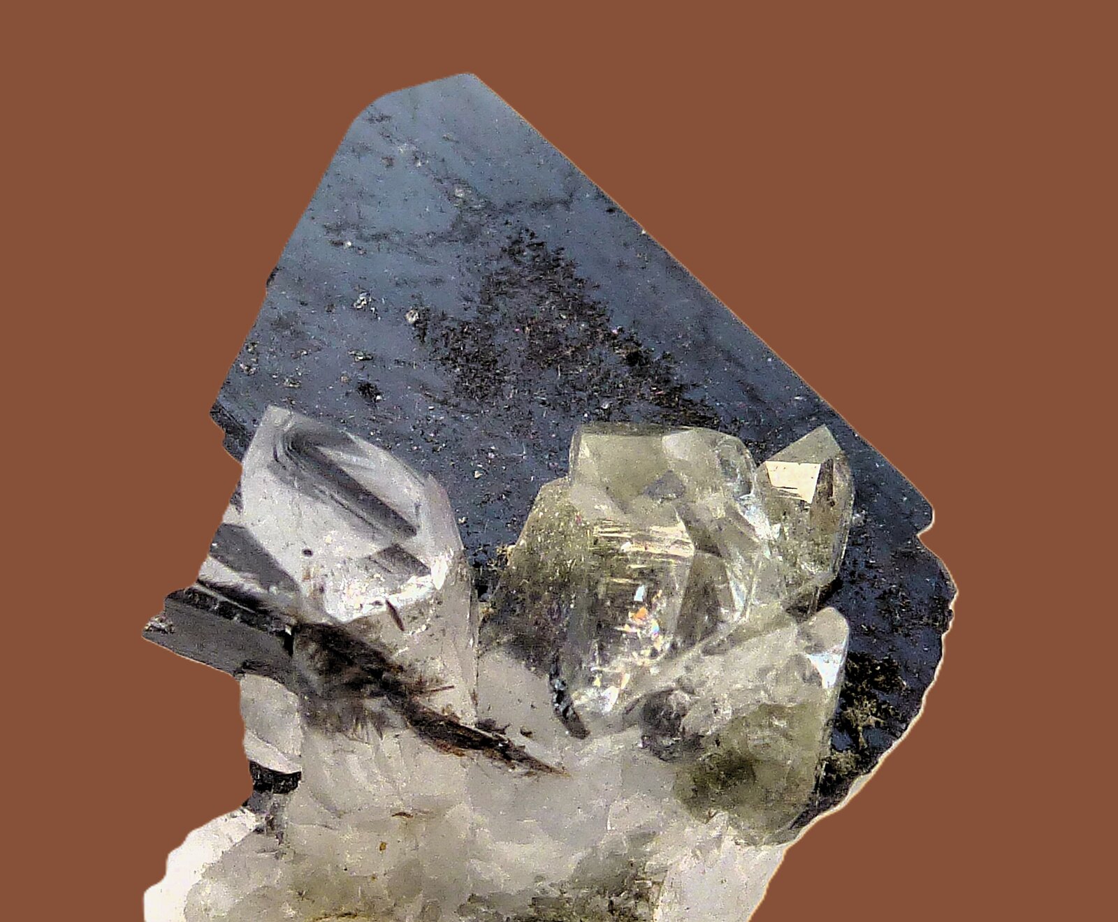 Brookita, Cuarzo (variedad cristal de roca)
Monte Zard, Cordillera Ras Koh, Distrito Kharan, Balochistan (Baluchistan), Paquistán
2 x 2 cm.
(Autor: javier ruiz martin)