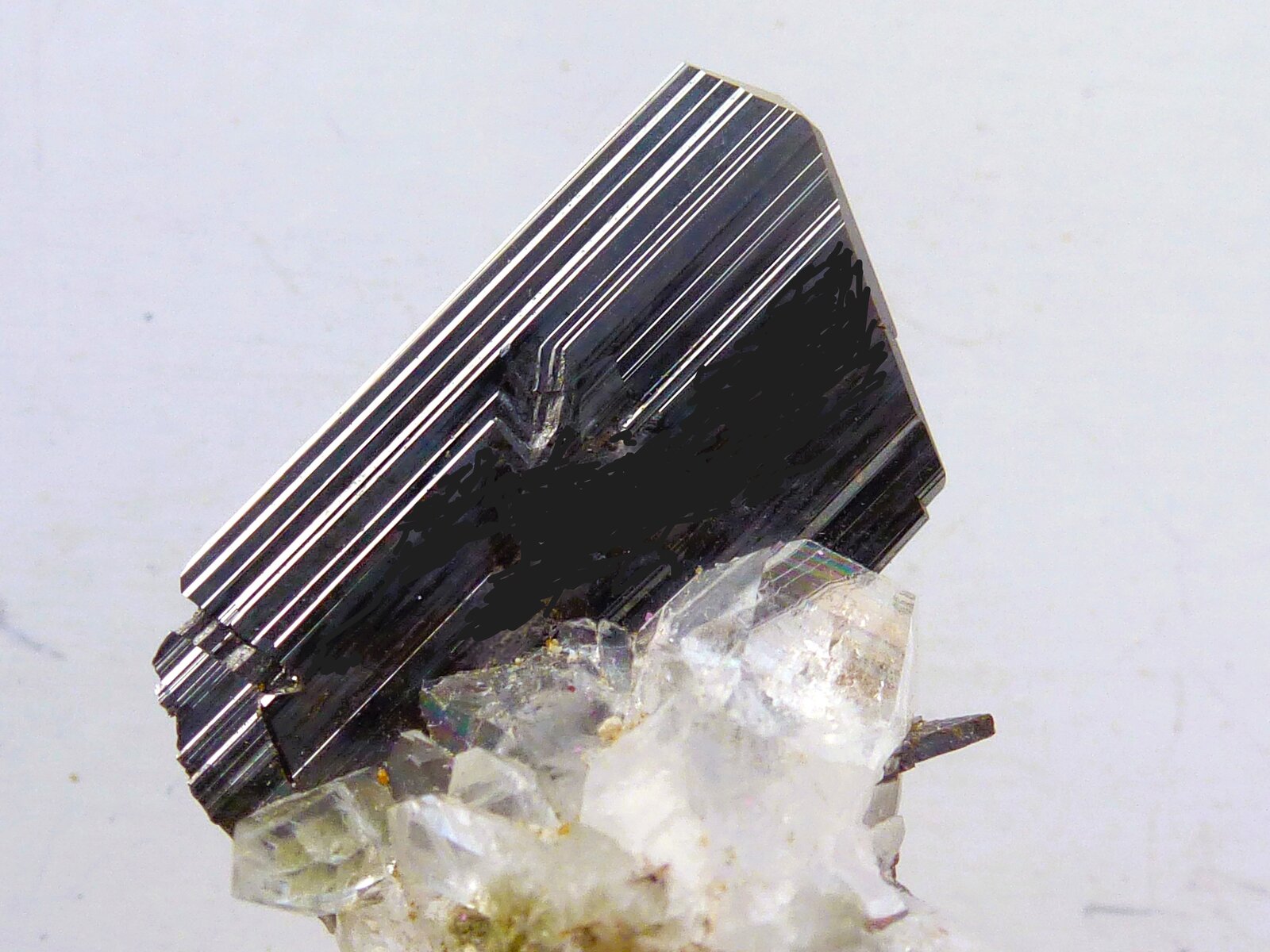 Brookita, Cuarzo (variedad cristal de roca)
Monte Zard, Cordillera Ras Koh, Distrito Kharan, Balochistan (Baluchistan), Paquistán
2 x 2 cm.
(Autor: javier ruiz martin)