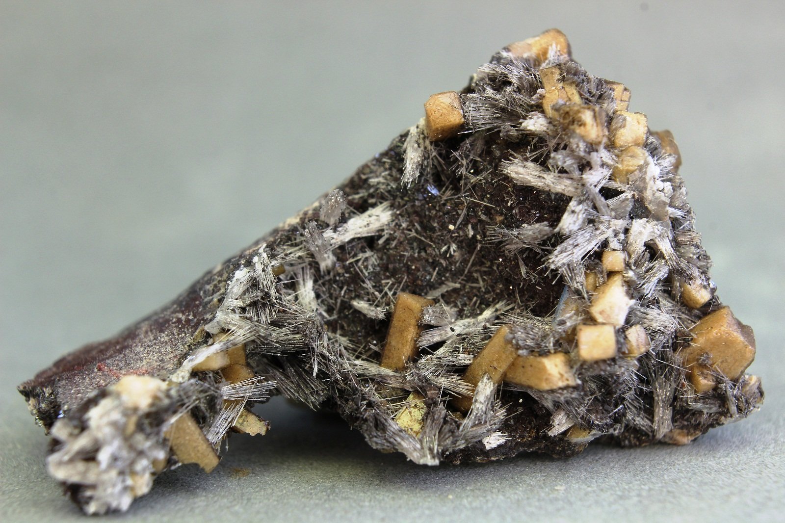 Bultfonteinita
32x23x16 mm
(Autor: Juan Espino)