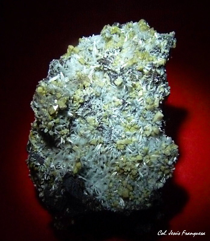 Bultfonteinita y Poldervaartita.
70x50 mm
(Autor: Jesus Franquesa Baucells)
