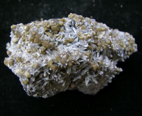 (Autor: trencapedres)
