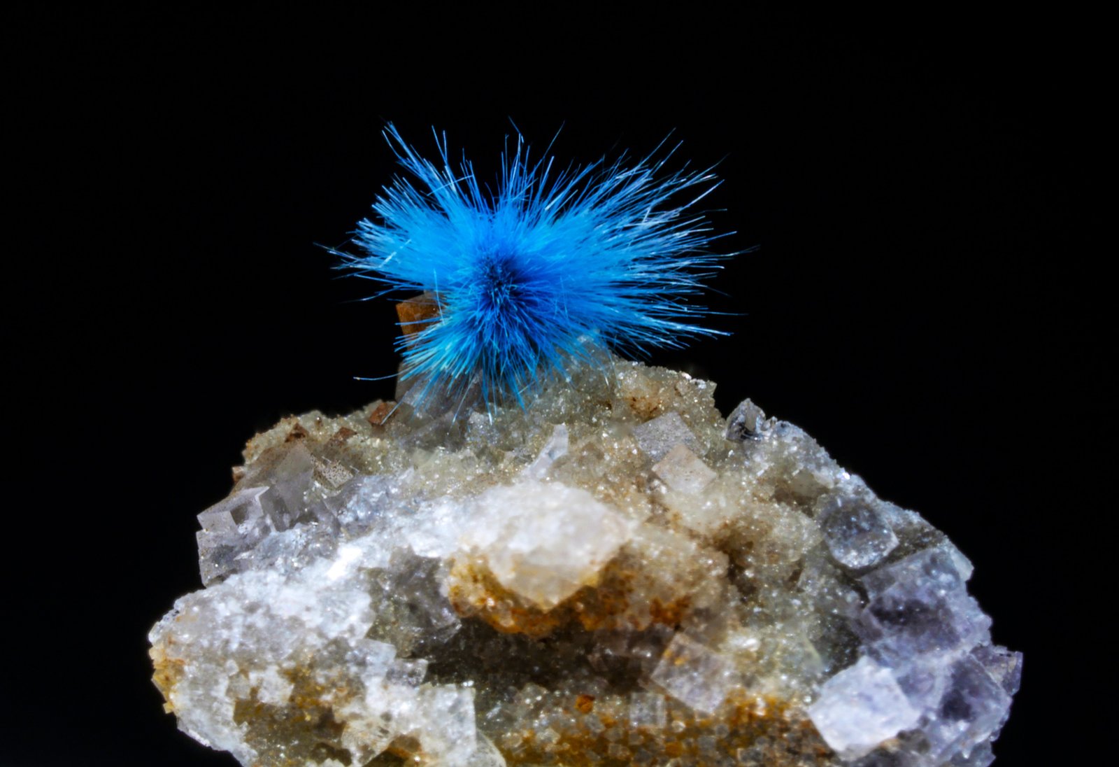 Carbonatocianotriquita
30 mm
(Autor: Borja Sainz de Baranda)