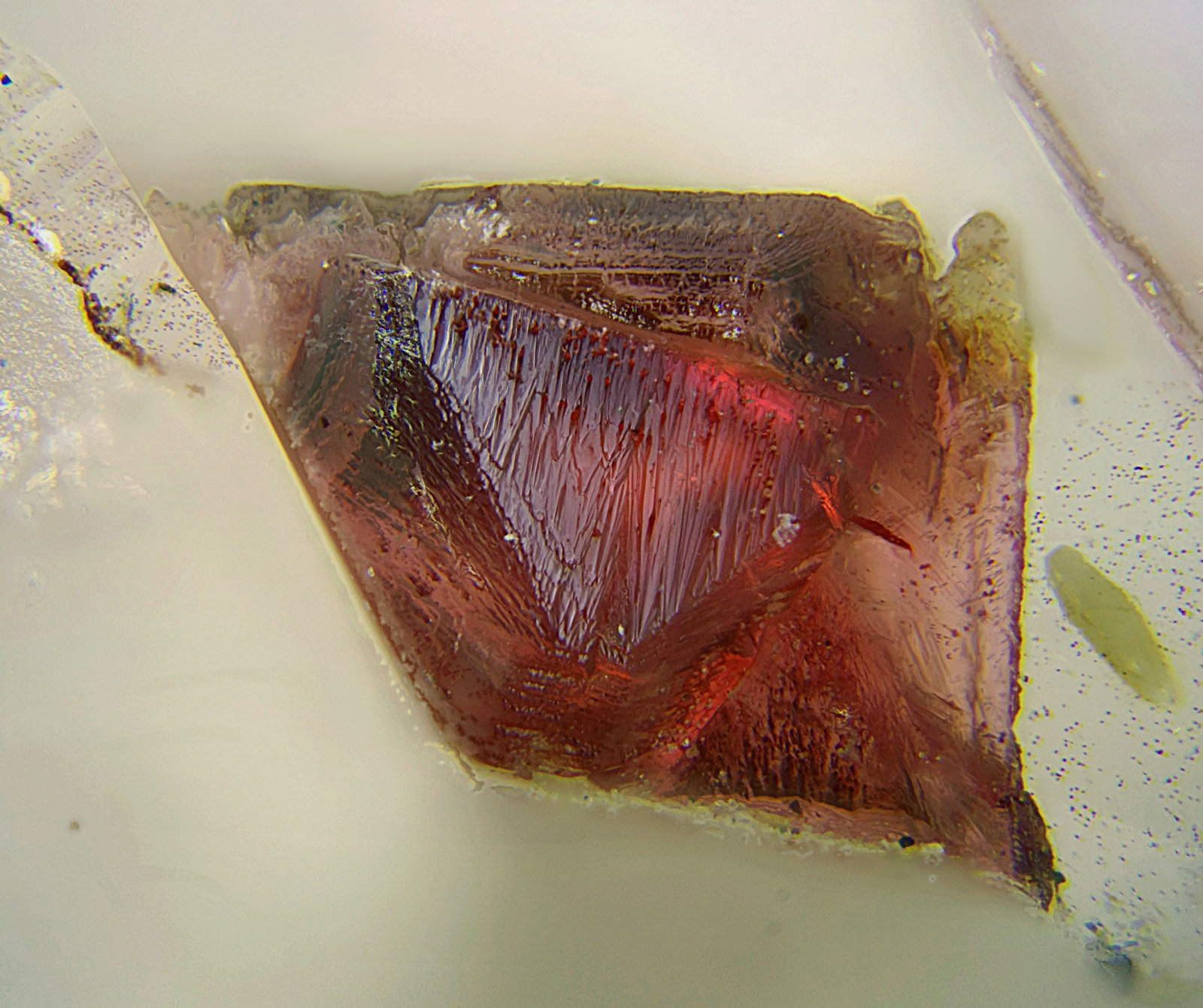 Adamita (variedad cobaltífera)
Campo de visión de 3 mm
(Autor: Antonio Carmona)