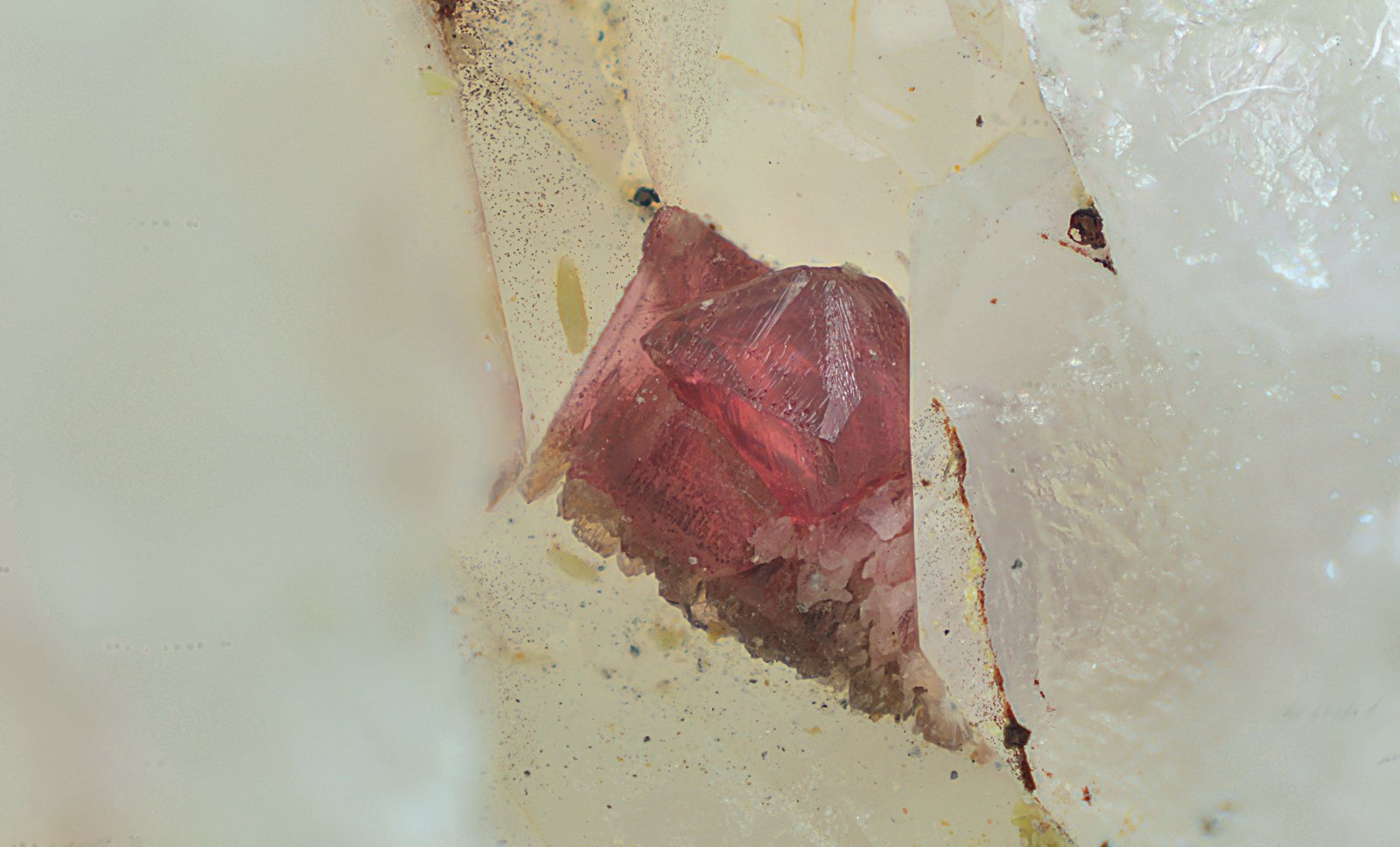 Adamita cobaltífera
Campo de visión de 5 mm.
(Autor: Antonio Carmona)
