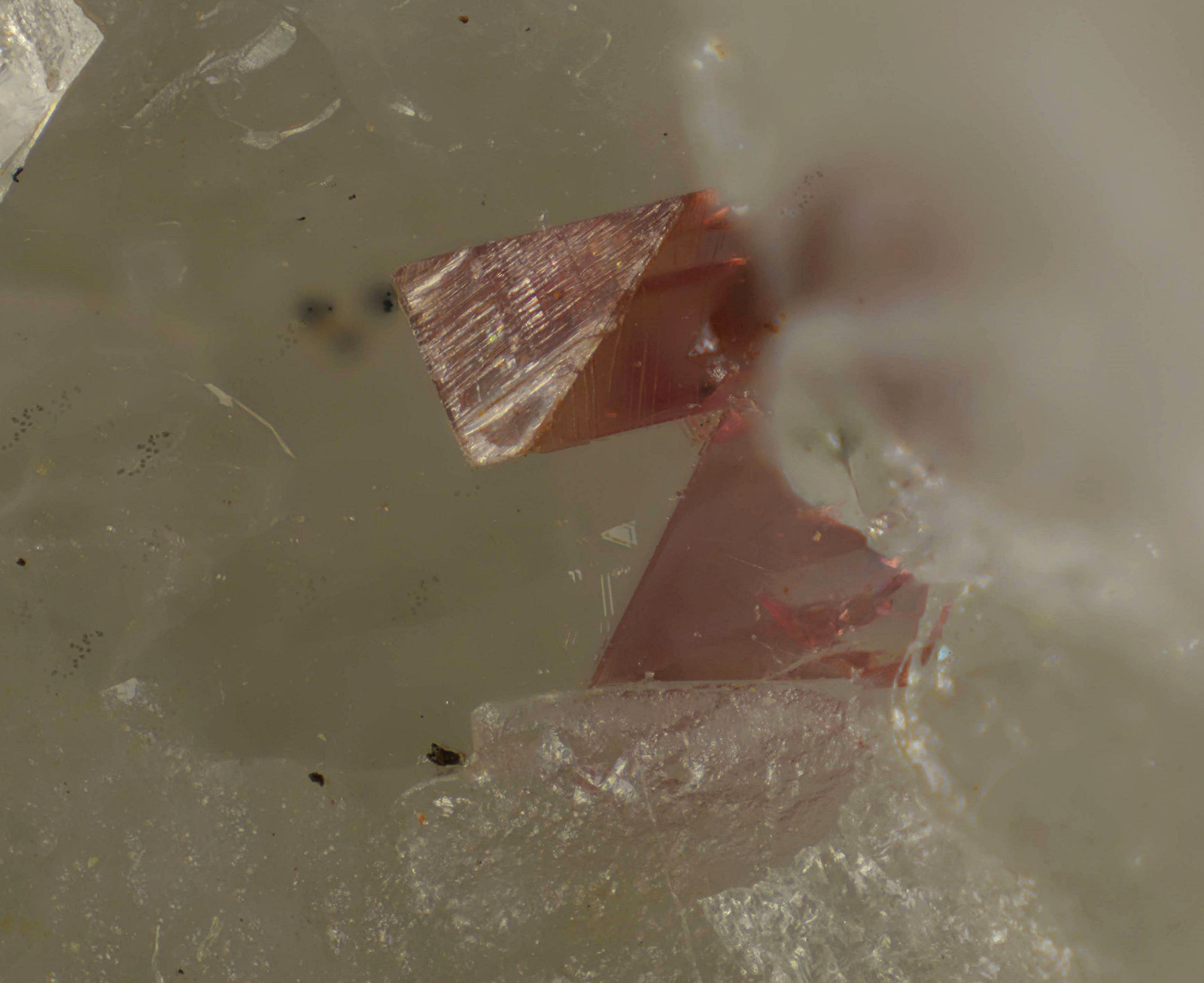 Adamita (variedad adamita cobaltífera)
Cristal de 2 mm.
(Autor: Antonio Carmona)
