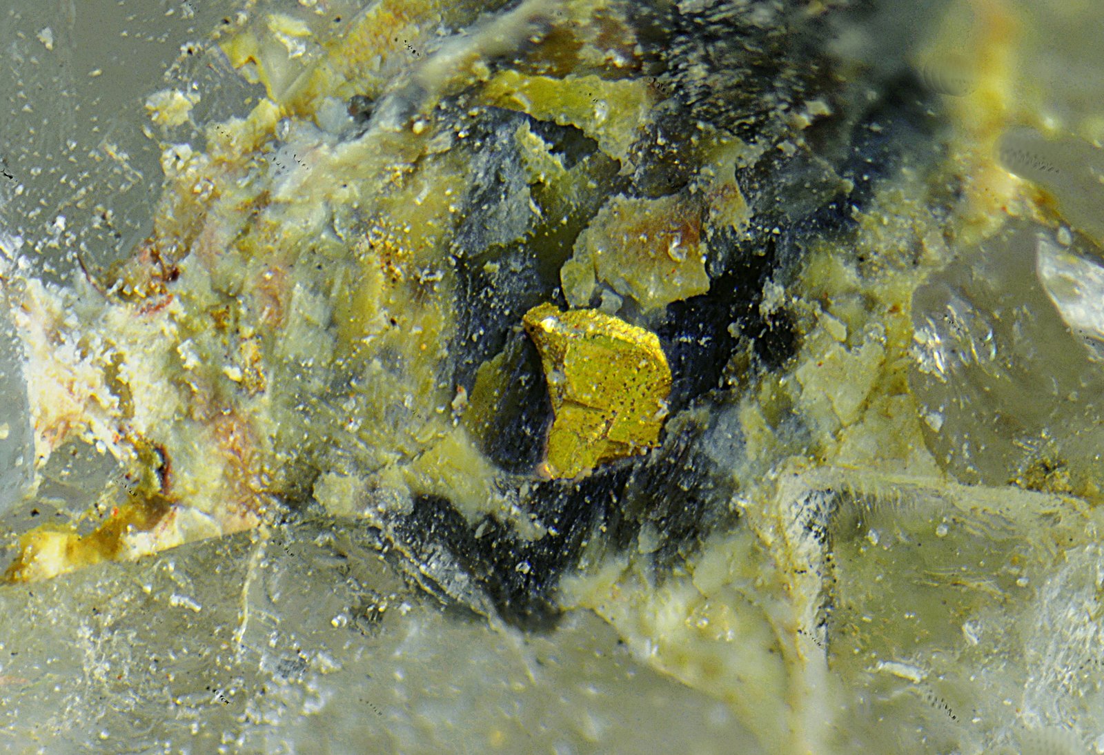 Oro
Campo de visión de 2 mm
(Autor: Antonio Carmona)