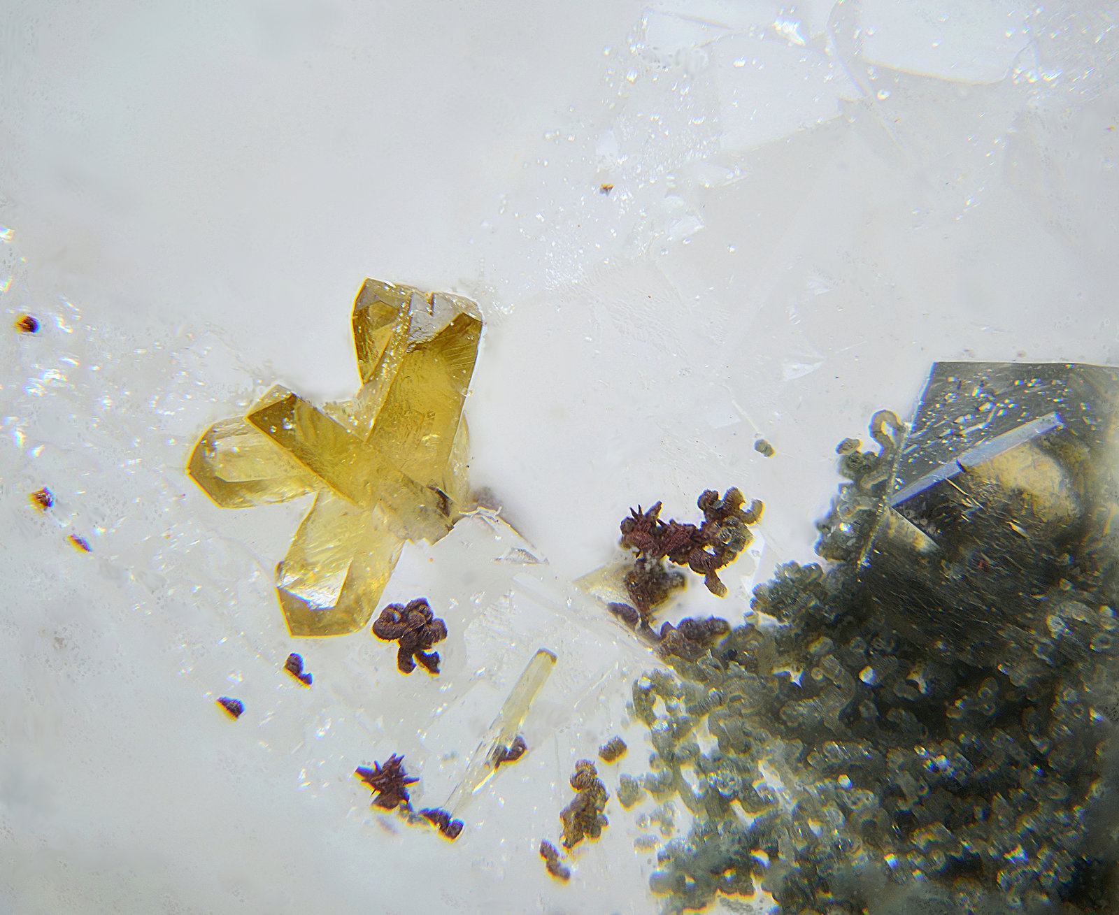 Austinita, Mimetita, Anatasa y Arseniosiderita
Campo de visión de 2 mm
(Autor: Antonio Carmona)