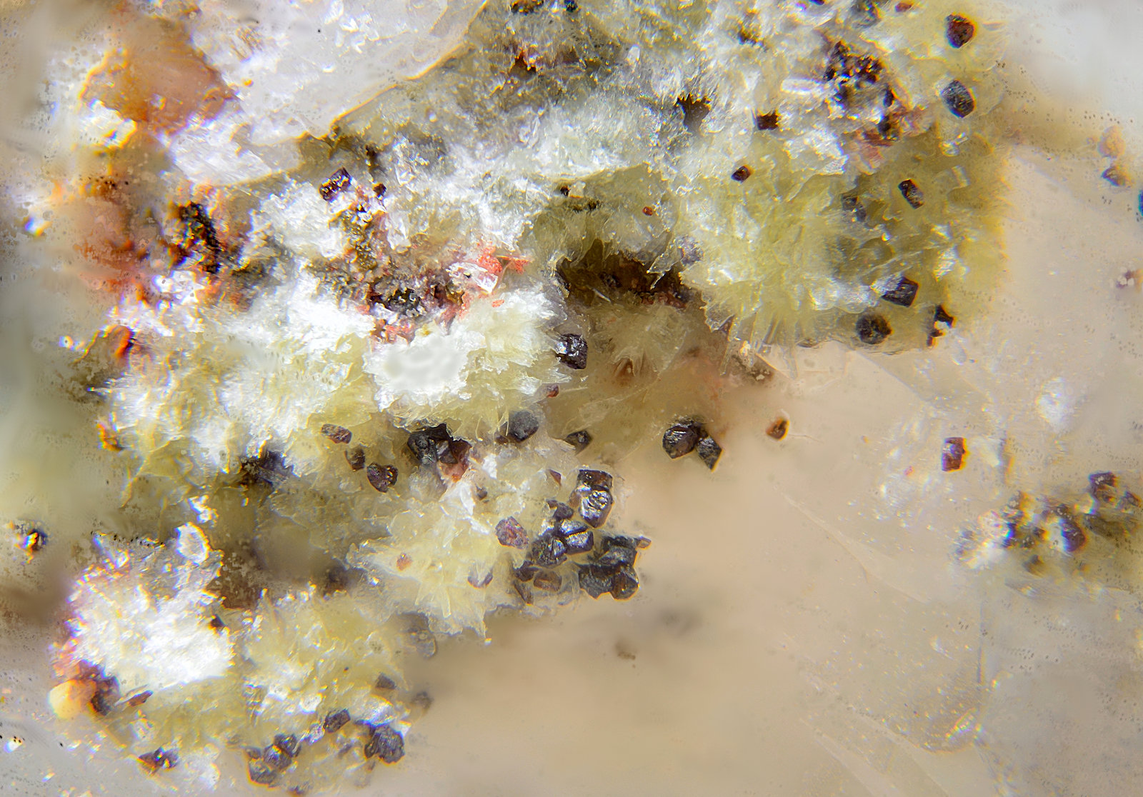 Kettnerita y Descloizita
Campo de visión de 2 mm
(Autor: Antonio Carmona)