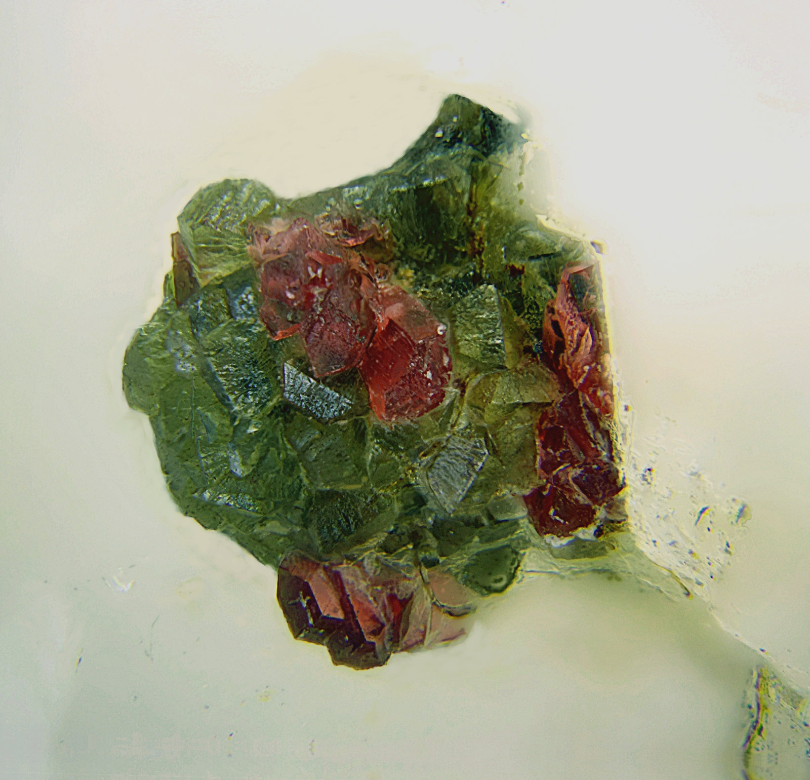 Austinita y Adamita (variedad cobaltífera)
Campo de visión de 3 mm.
(Autor: Antonio Carmona)