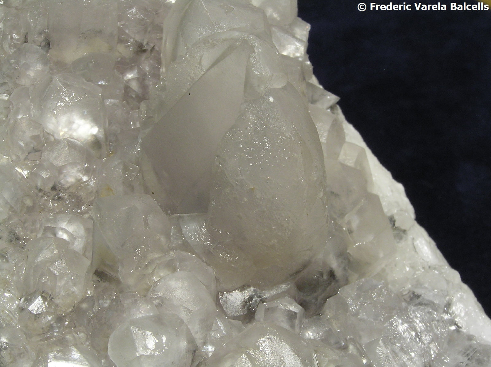 Calcita
Encuadre 4 x 3 cm.
(Autor: Frederic Varela)