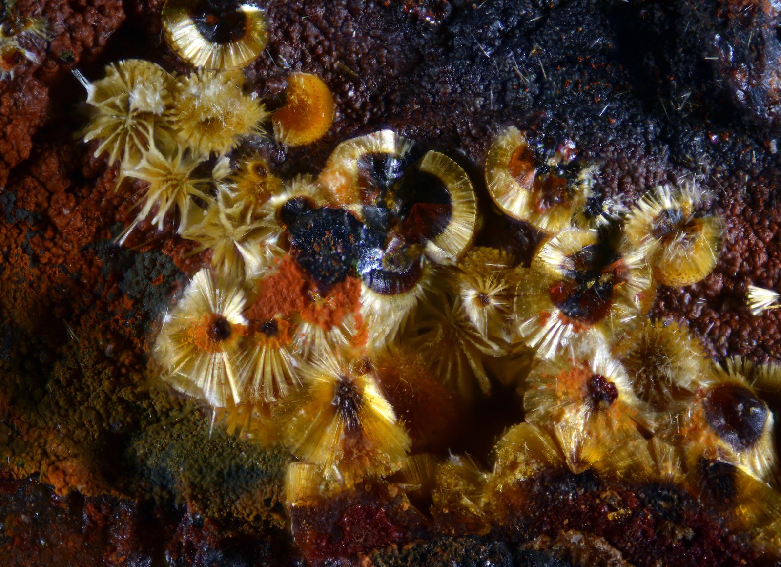 Cacoxenita
4 mm
(Autor: undaria)
