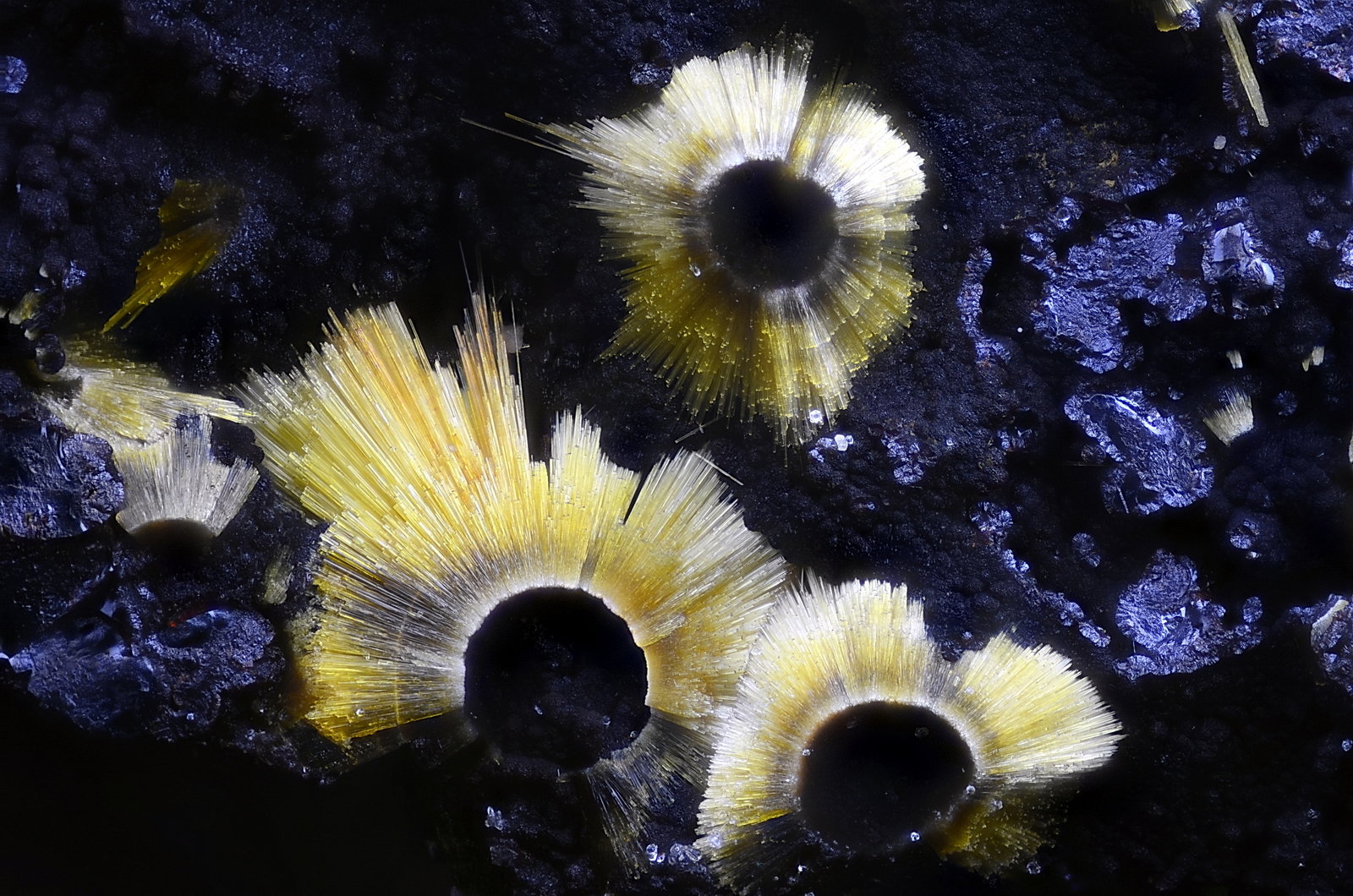 Cacoxenita
Campo de visión 2,2 mm.
(Autor: Juan Miguel)