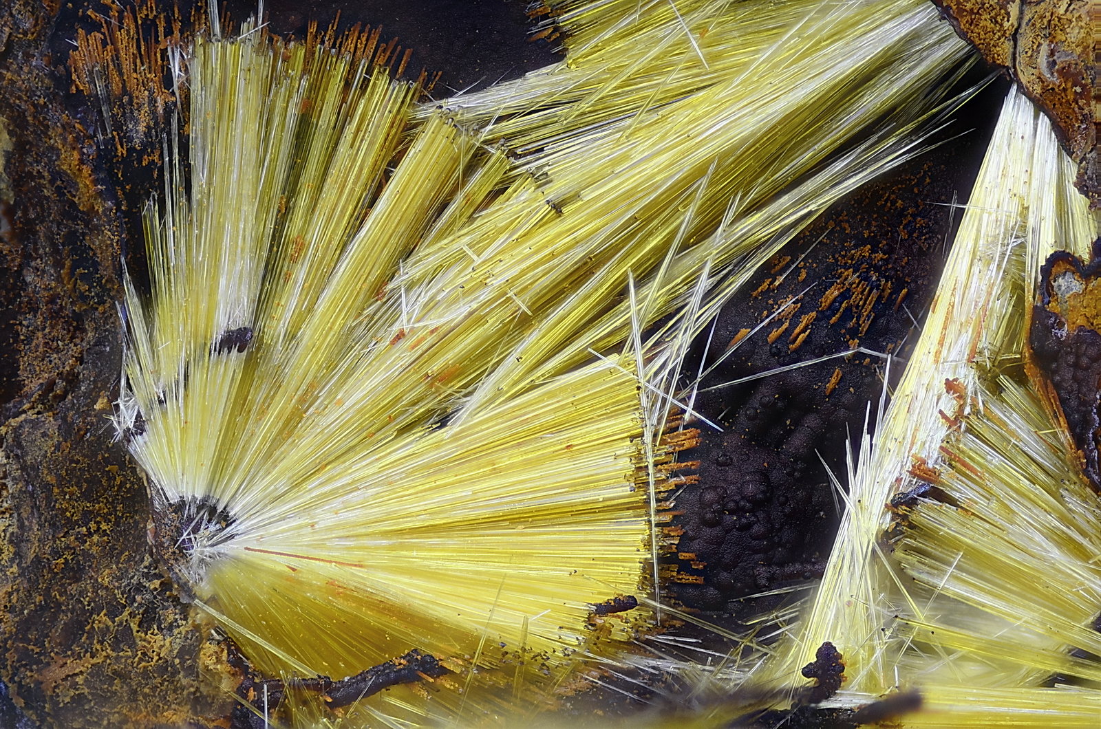 Cacoxenita
Campo de visión 2,2 mm.
(Autor: Juan Miguel)