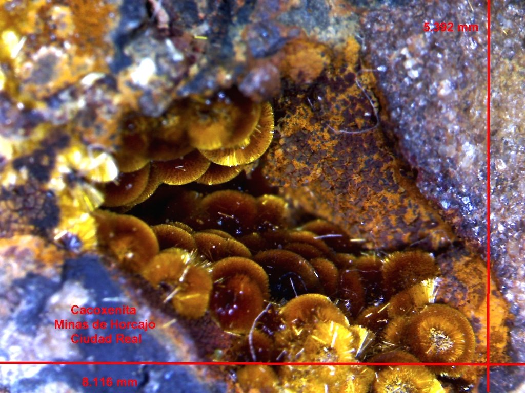 Cacoxenita.
8´116 x 5´392 mm.
(Autor: Jesus Franquesa Baucells)
