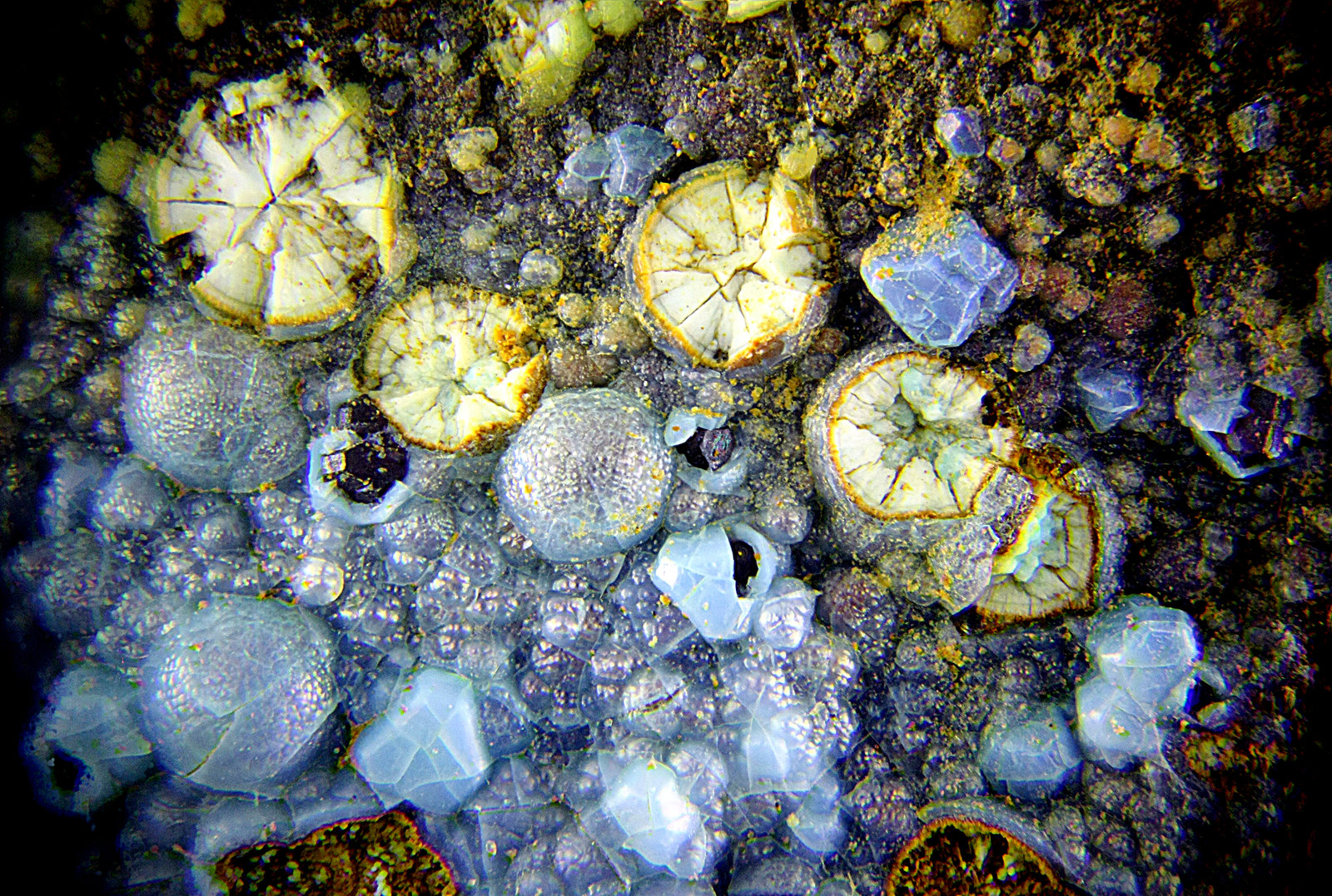 Alofana recubriendo Cuprita y otas mineralizaciones.
Campo de visión de 3mm.
(Autor: Antonio Carmona)