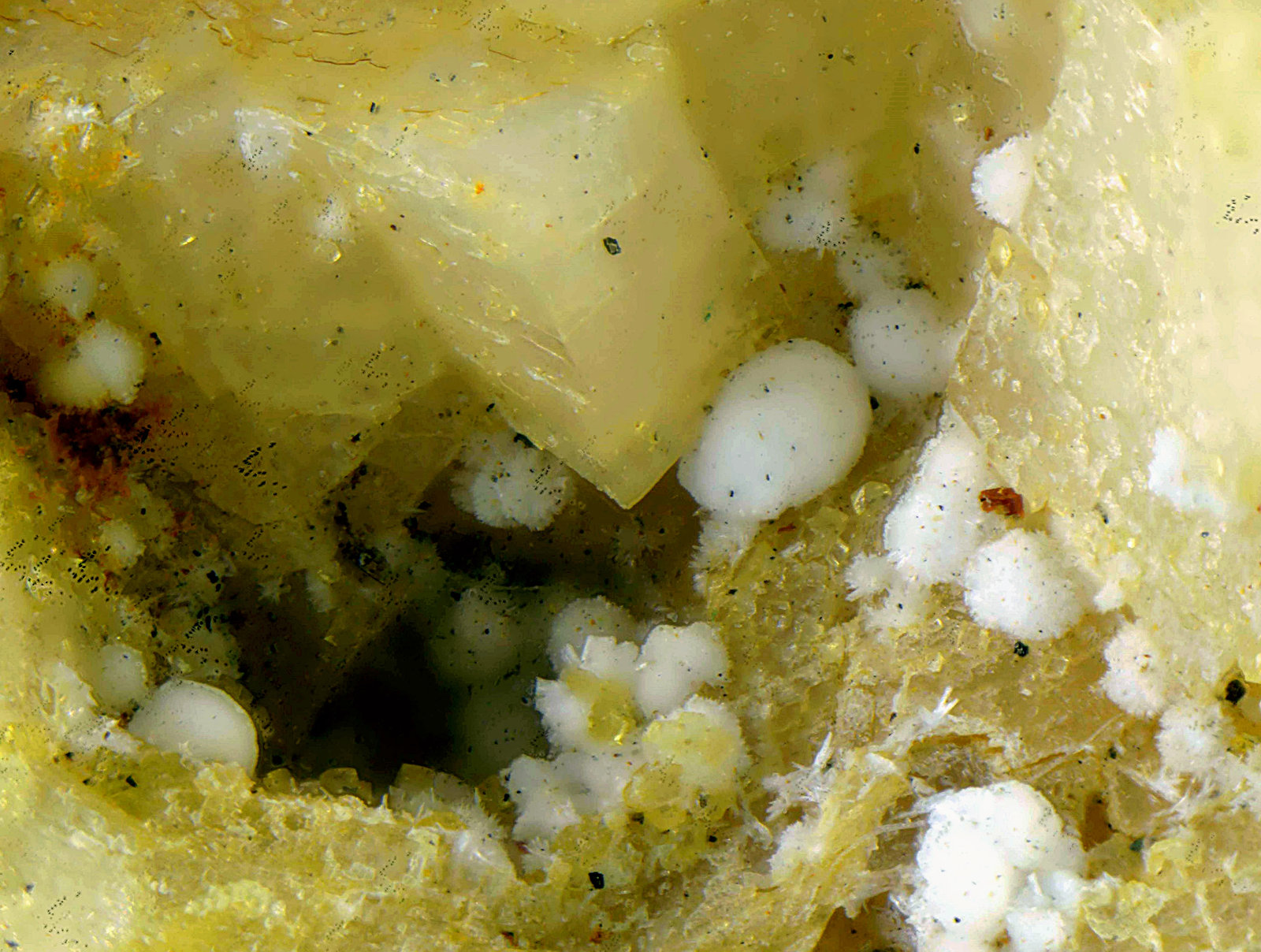Brassita sobre Dolomita
Campo de visión de 3 mm.
(Autor: Antonio Carmona)