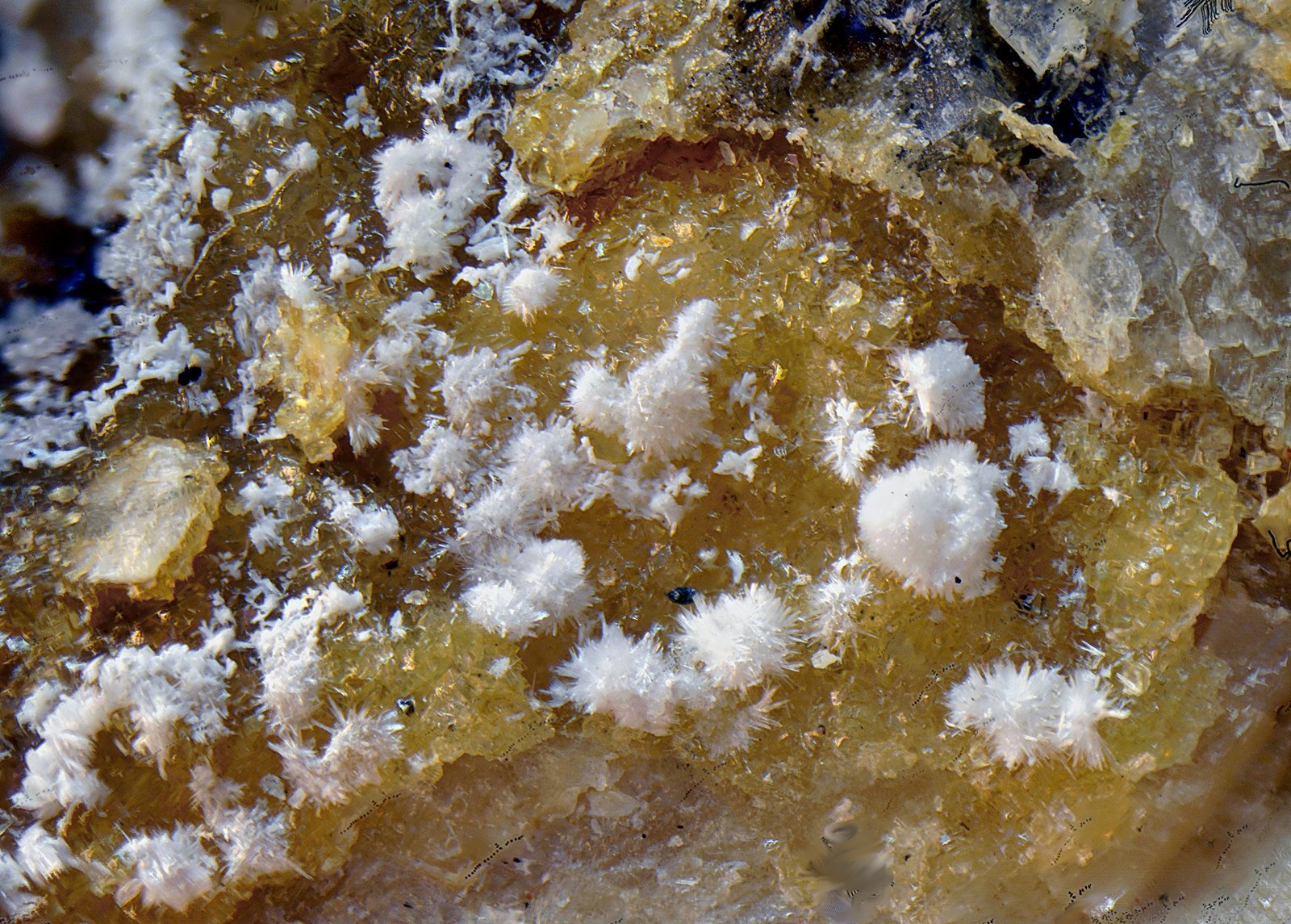 Brassita
Campo de visión de 3 mm.
(Autor: Antonio Carmona)