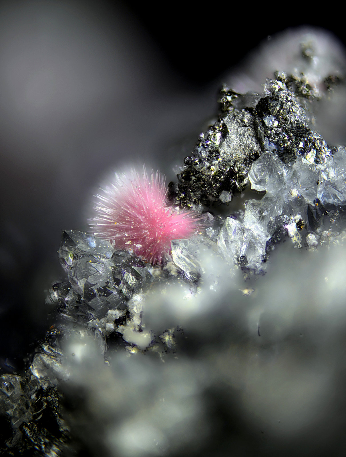 Hörnesita
Campo de visión de 2 mm.
(Autor: Antonio Carmona)