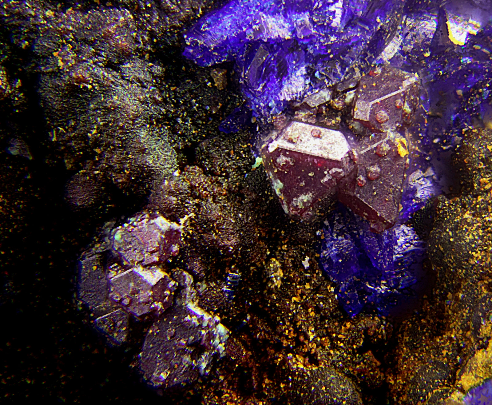 Cuprita y Azurita
Campo de visión de 2 mm
(Autor: Antonio Carmona)
