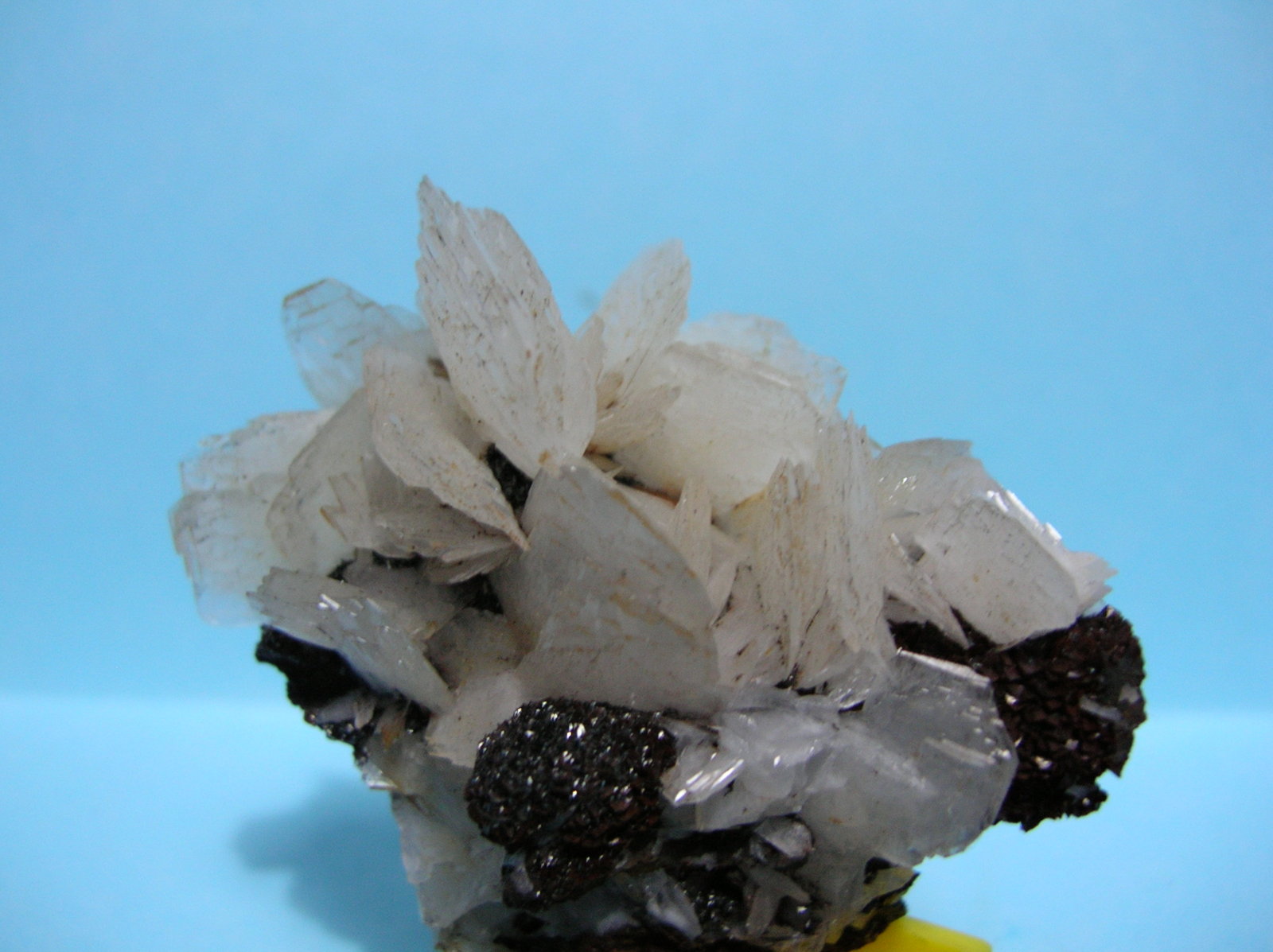 Baritina
5,5 x 5 cm
(Autor: Pedro Conesa)