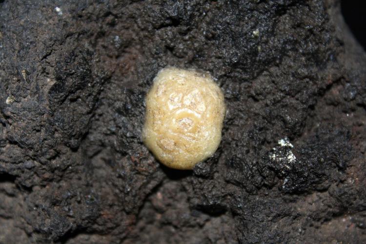 Calcedonia
2 cm
(Autor: canada)