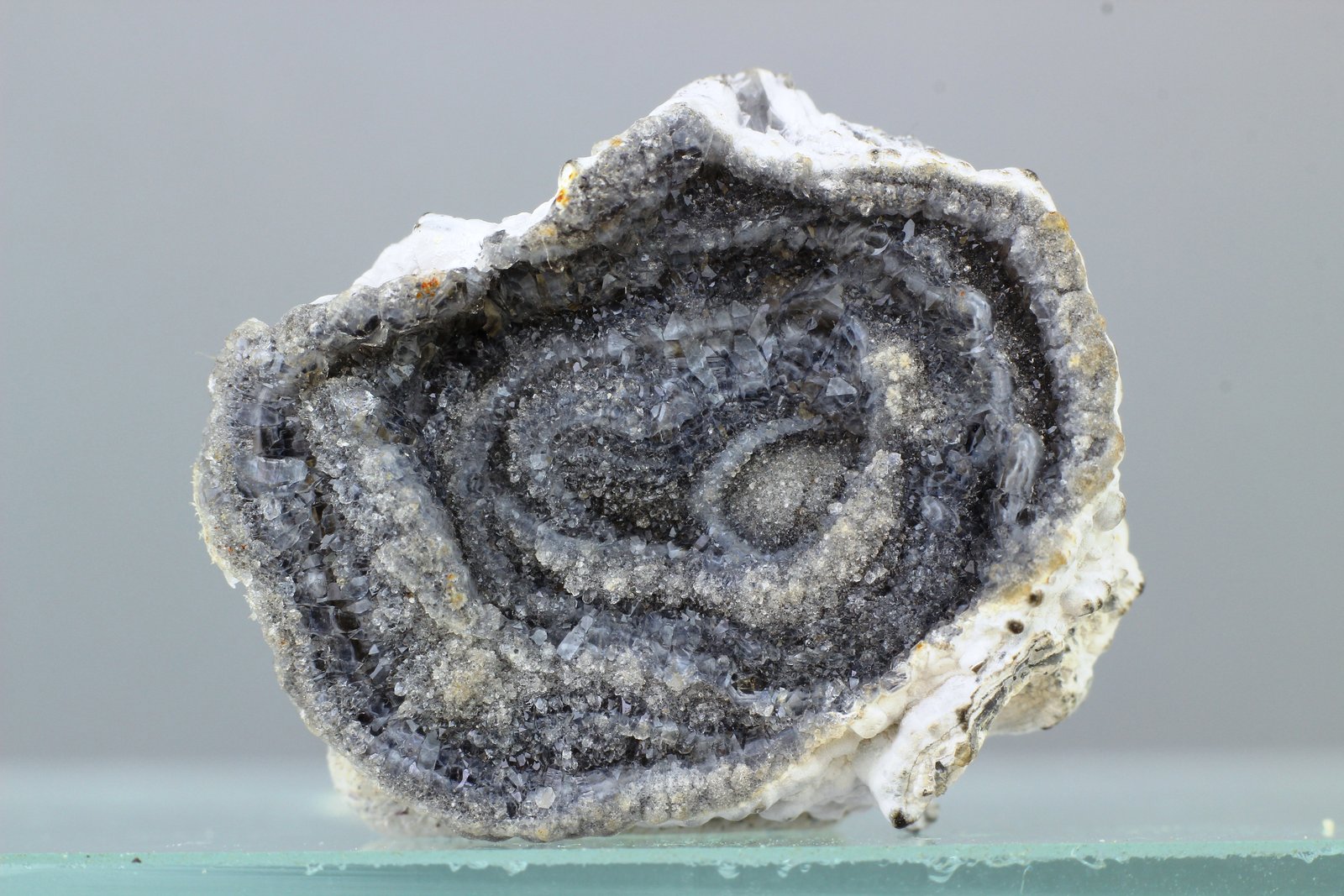 Cuarzo (variedad calcedonia)
22x19 mm
(Autor: Juan Espino)