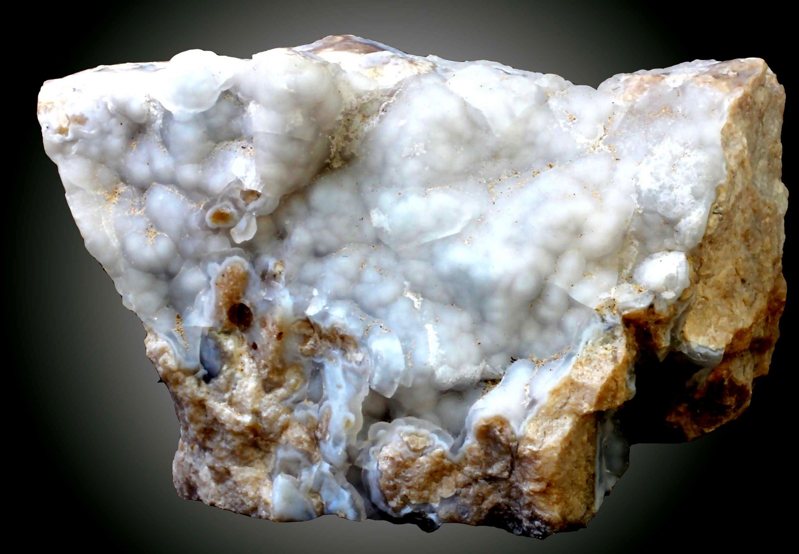 Cuarzo (variedad calcedonia)
65 x 58 x 46 mm.
(Autor: José Luis Zamora)