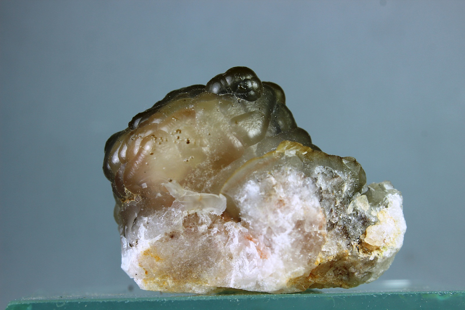 Cuarzo (variedad calcedonia)
43x35 mm
(Autor: Juan Espino)
