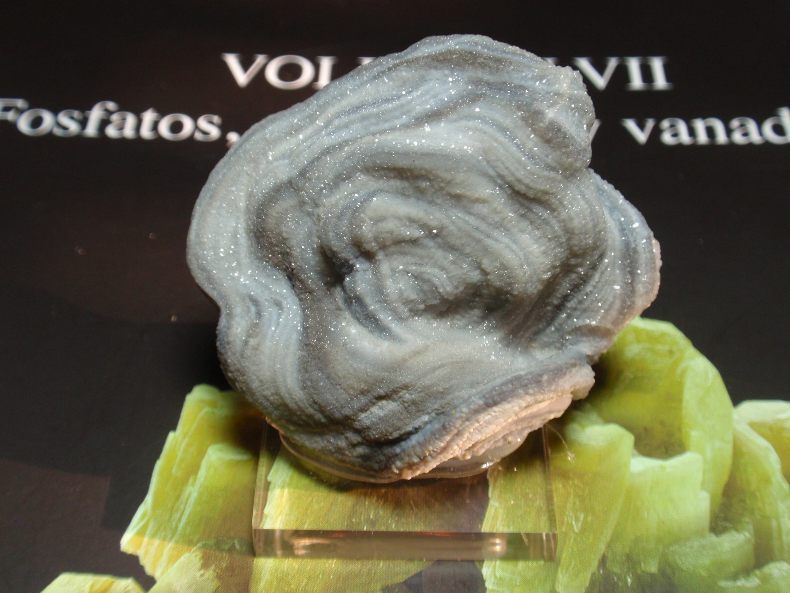 Cuarzo (variedad calcedonia)
45x40 mm
(Autor: Ignacio)