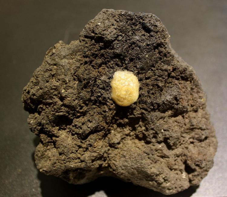 Calcedonia
2 cm
(Autor: canada)