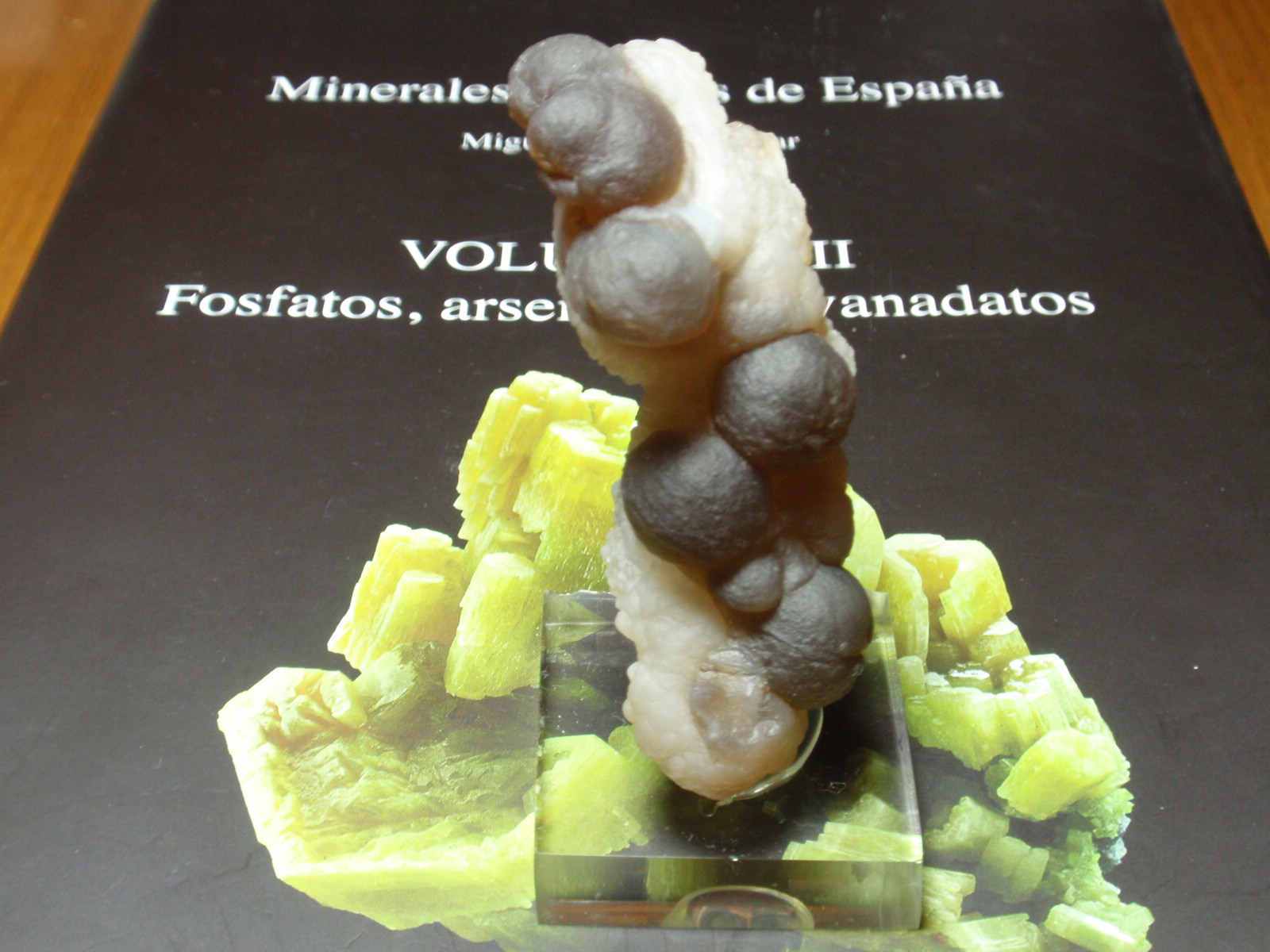 Cuarzo (variedad calcedonia)
25x70 mm
(Autor: Ignacio)