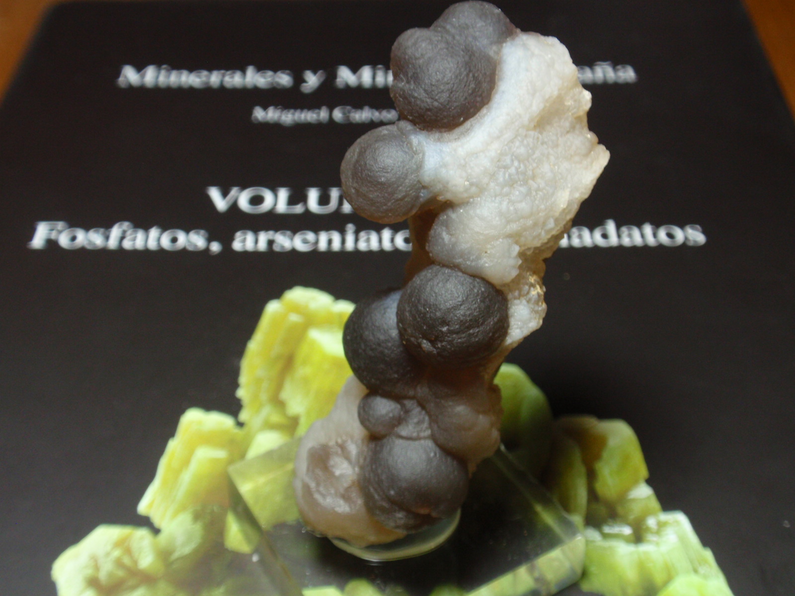 Cuarzo (variedad calcedonia)
25x70 mm
(Autor: Ignacio)