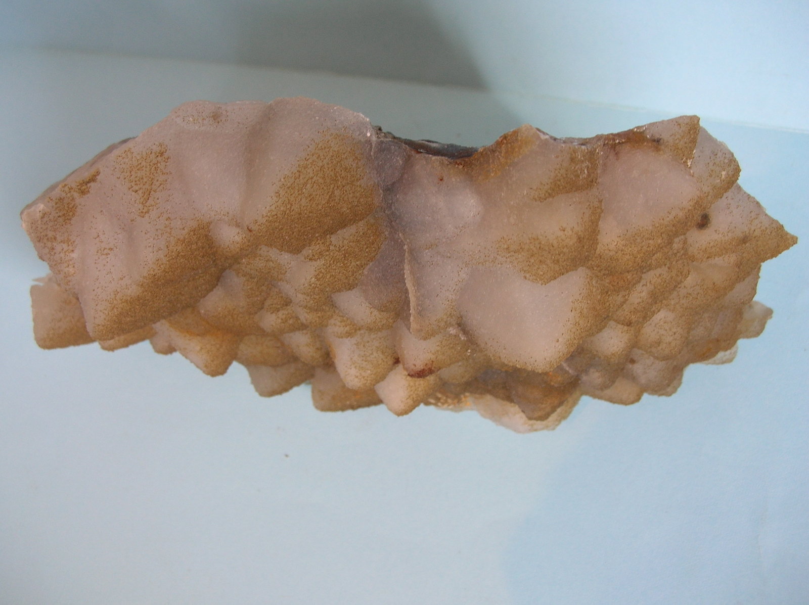 Cuarzo (variedad calcedonia)
19,5 x 11 cm
(Autor: Pedro Conesa)