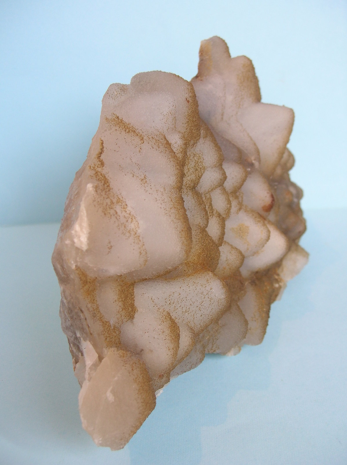 Cuarzo (variedad calcedonia)
19,5 x 11 cm
(Autor: Pedro Conesa)