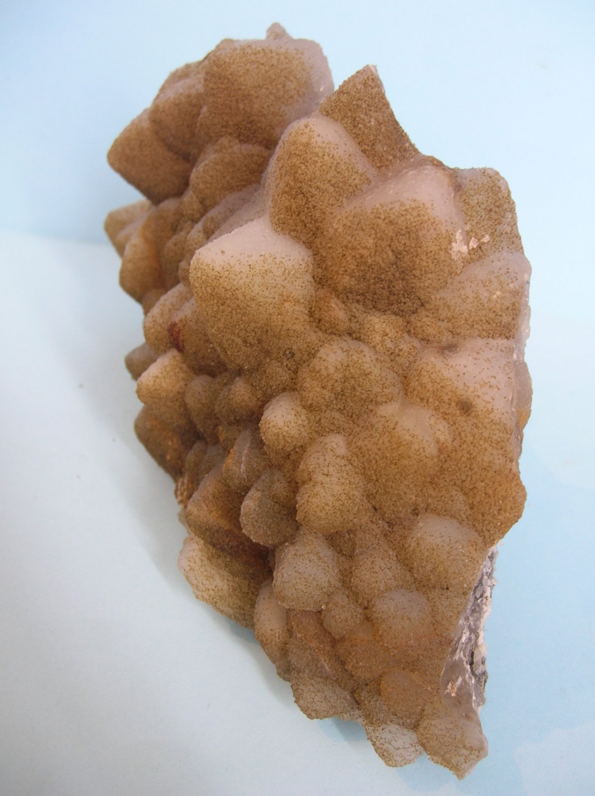 Cuarzo (variedad calcedonia)
19,5 x 11 cm
(Autor: Pedro Conesa)