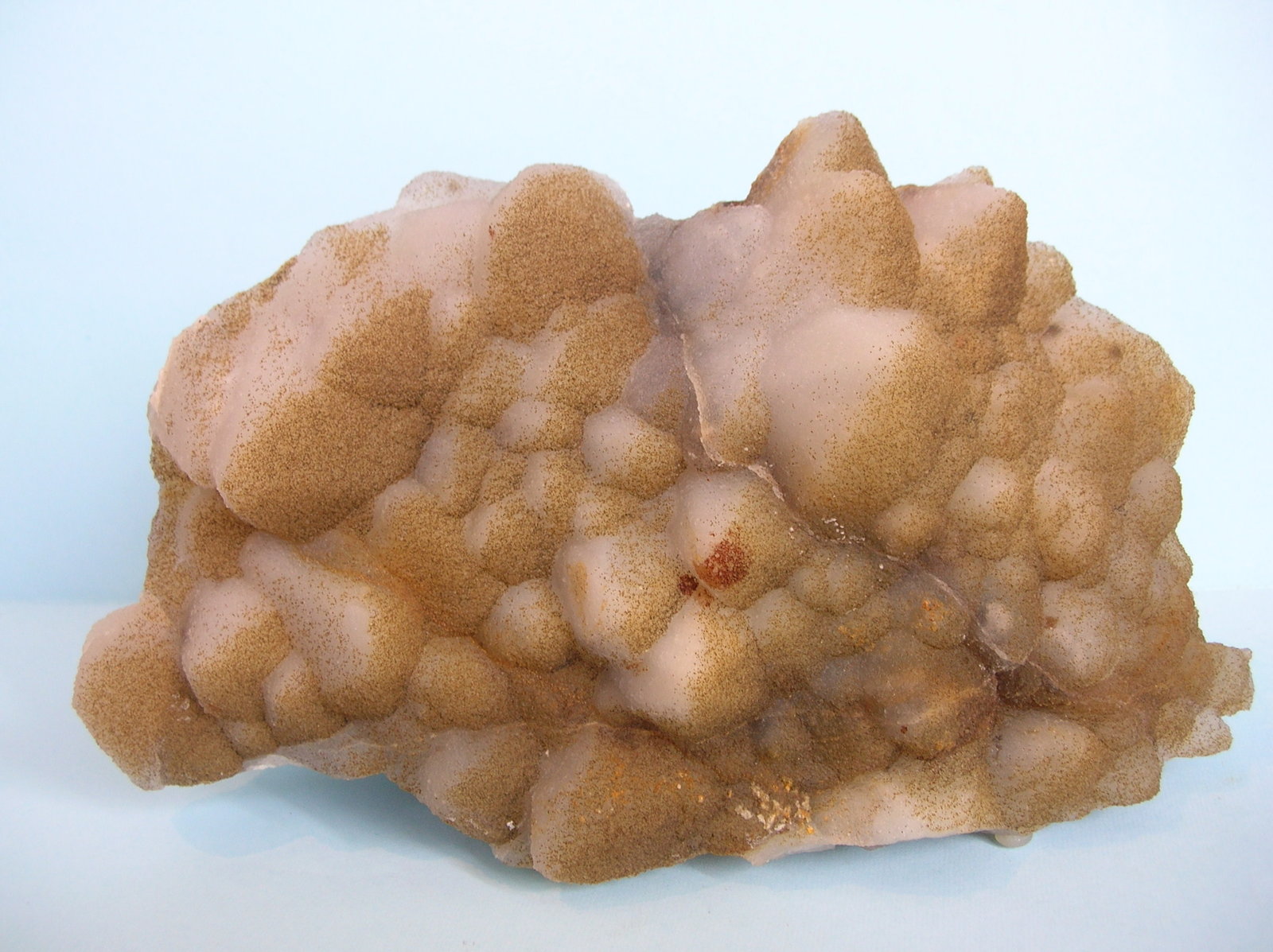 Cuarzo (variedad calcedonia)
19,5 x 11 cm
(Autor: Pedro Conesa)