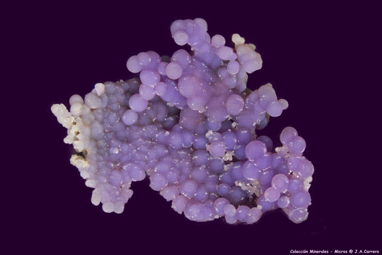 Cuarzo (variedad calcedonia)
Zona Mamuju, Provincia Sulawesi Barat, Indonesia
6 x 4,5 x 2 cm
(Autor: Jose Angel Carrero)