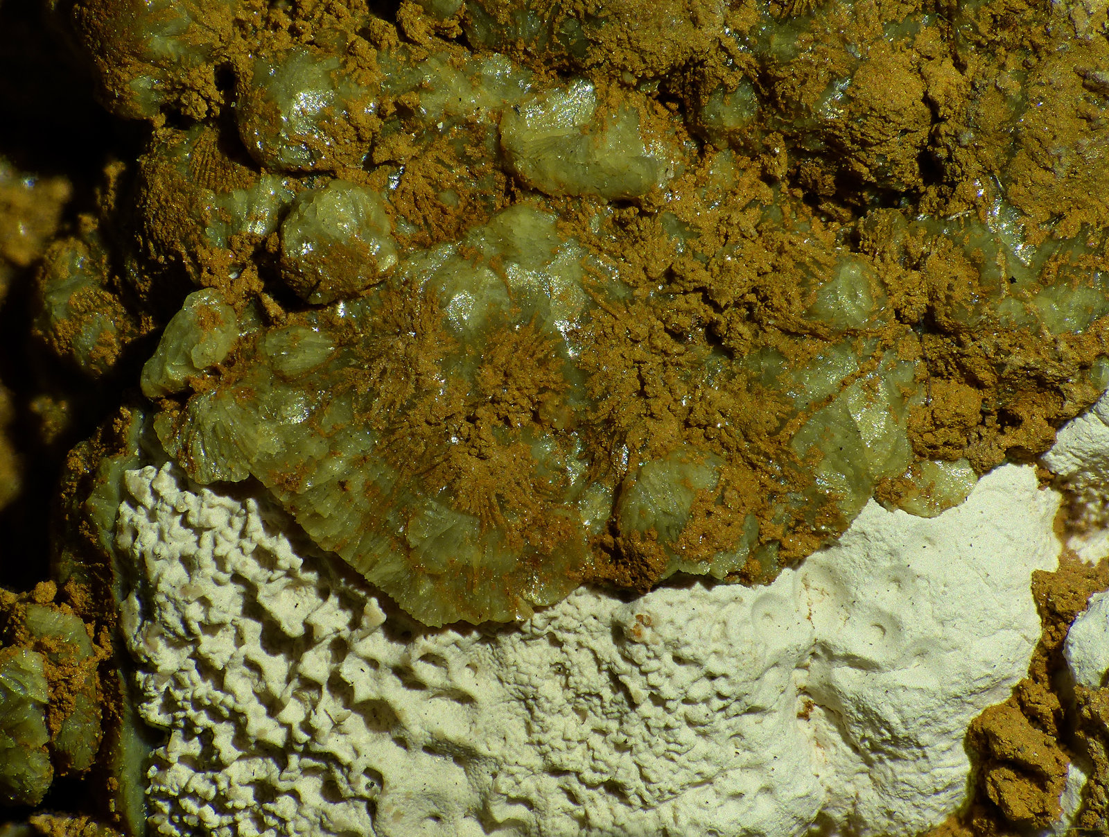 Tinticita, Calcioferrita
6 x 5 mm
(Autor: Javier Rodriguez)