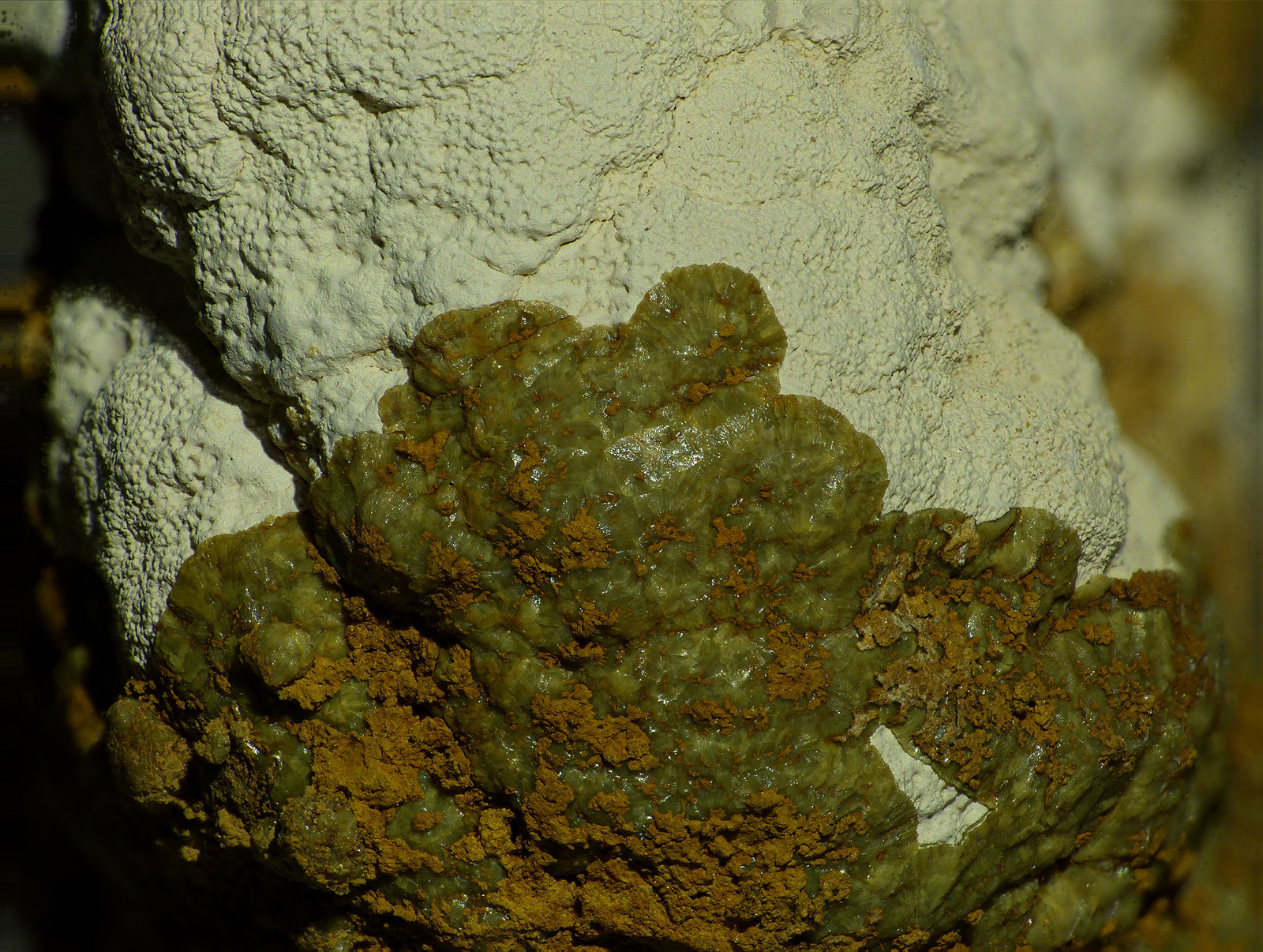 Tinticita, Calcioferrita
6 x 5 mm
(Autor: Javier Rodriguez)