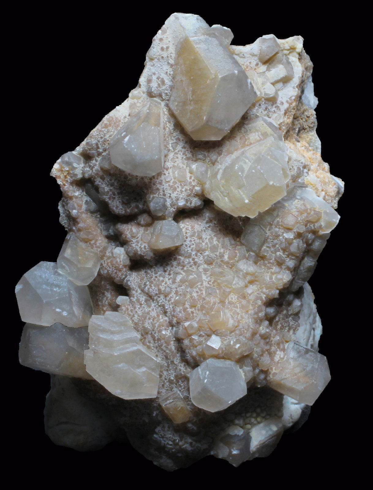 36 x 24 x 12 mm.
(Autor: José Luis Zamora)