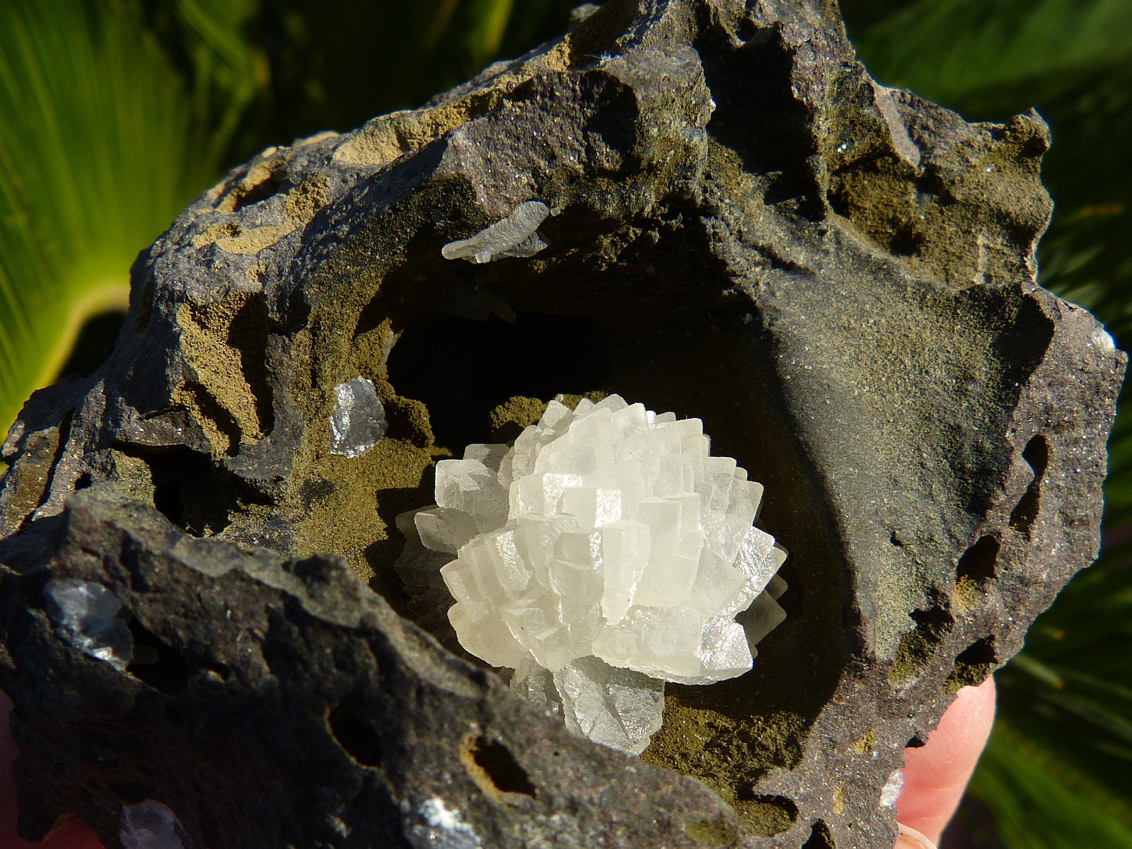 Calcita
9 x 7 cm
(Autor: nerofis2)