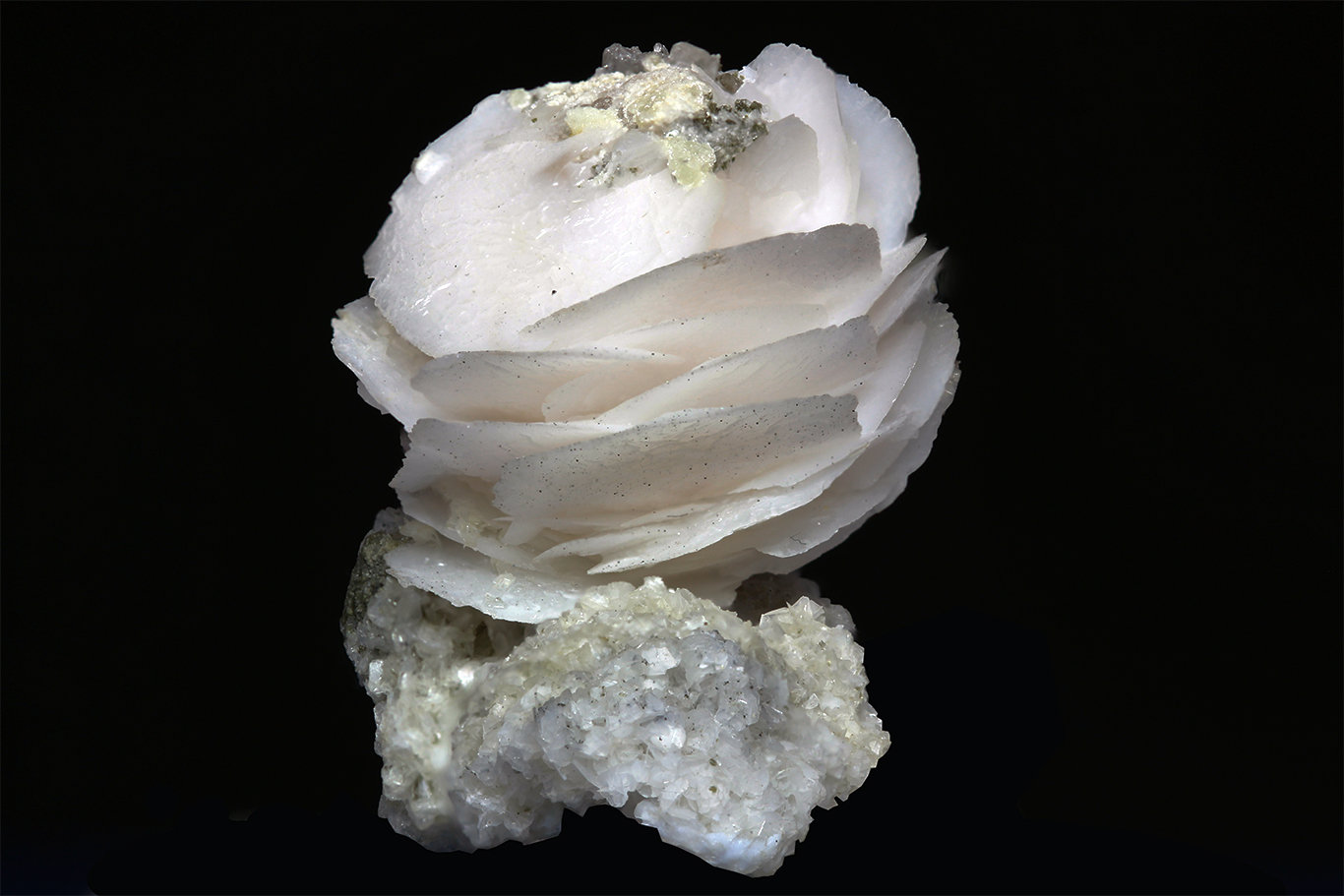 Calcita
Rosa 25x25 mm
(Autor: Ramon A  Lopez Garcia)