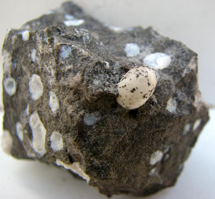 Calcita
45x37x38 mm la esfera mide  7 mm.
(Autor: José Luis Zamora)