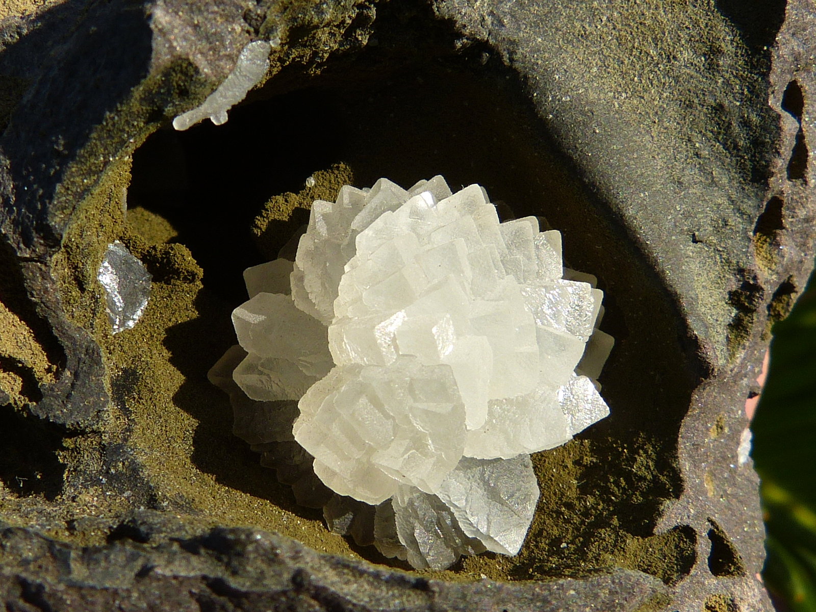 Calcita
9 x 7 cm
(Autor: nerofis2)