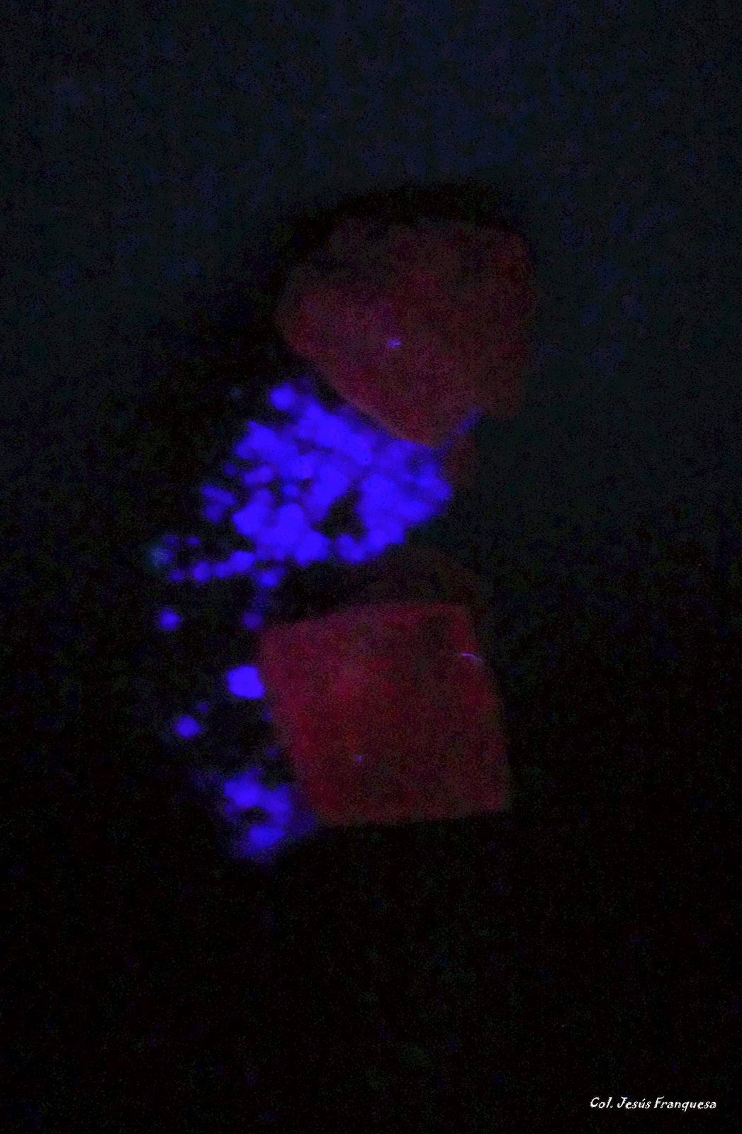 Calcita y Fluorita.
39x24 mm.
(Autor: Jesus Franquesa Baucells)