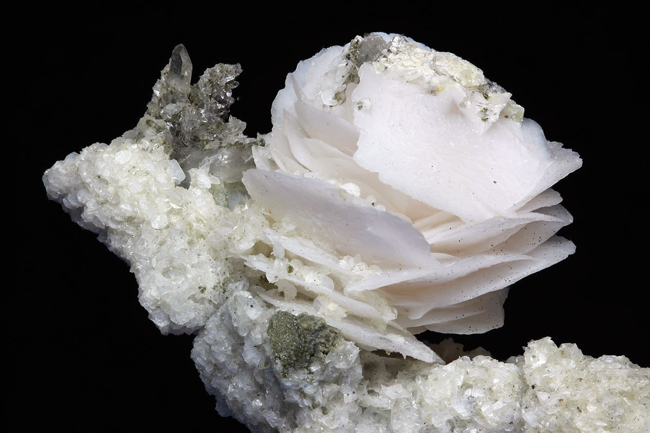Calcita
Rosa 25x25 mm
(Autor: Ramon A  Lopez Garcia)